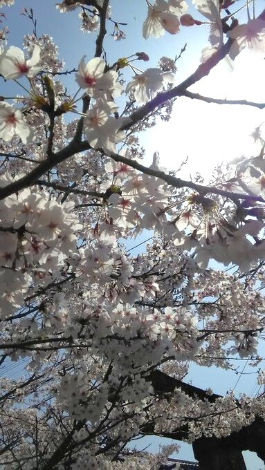 2018年3月31日