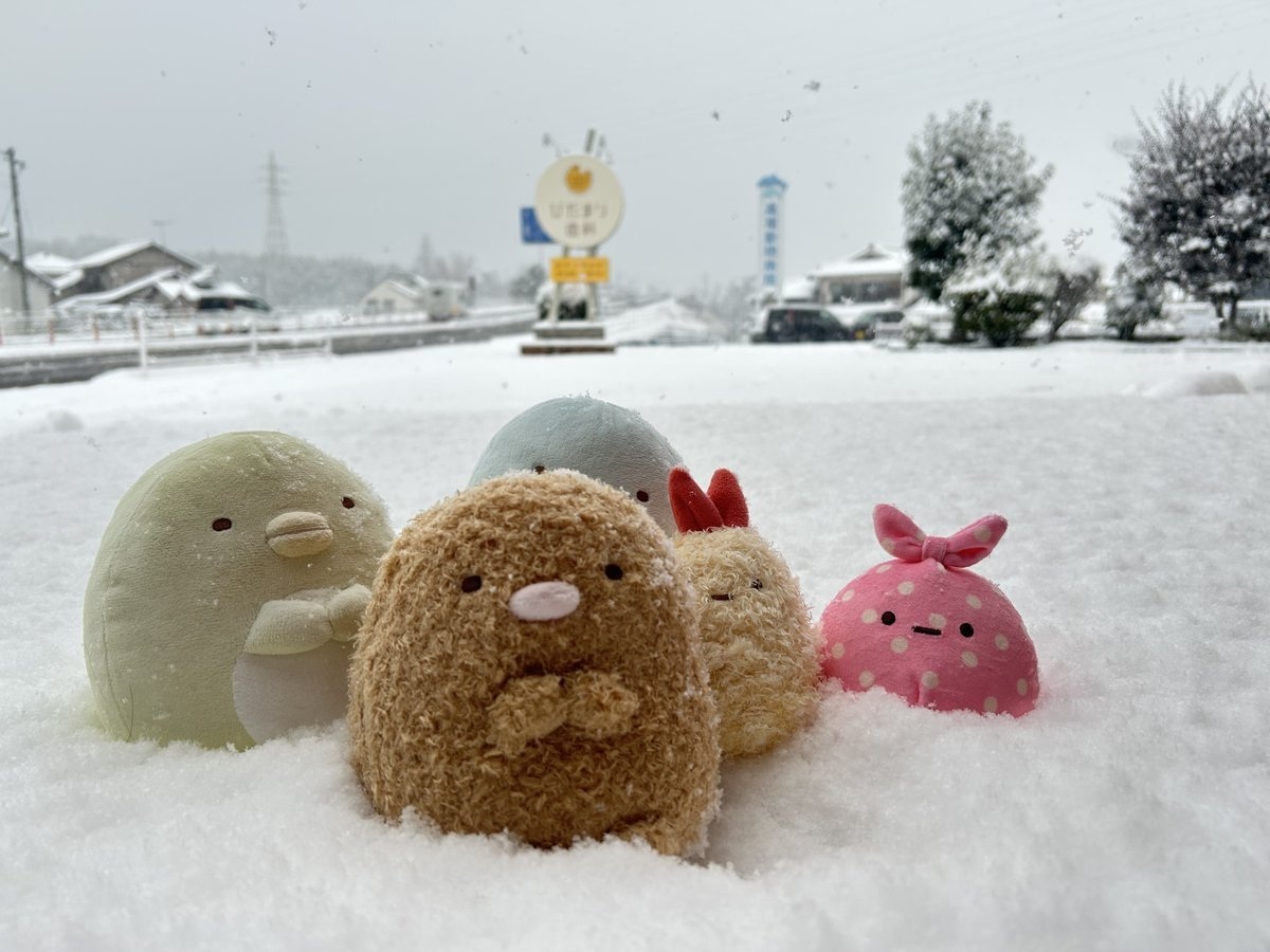 2025年2月8日